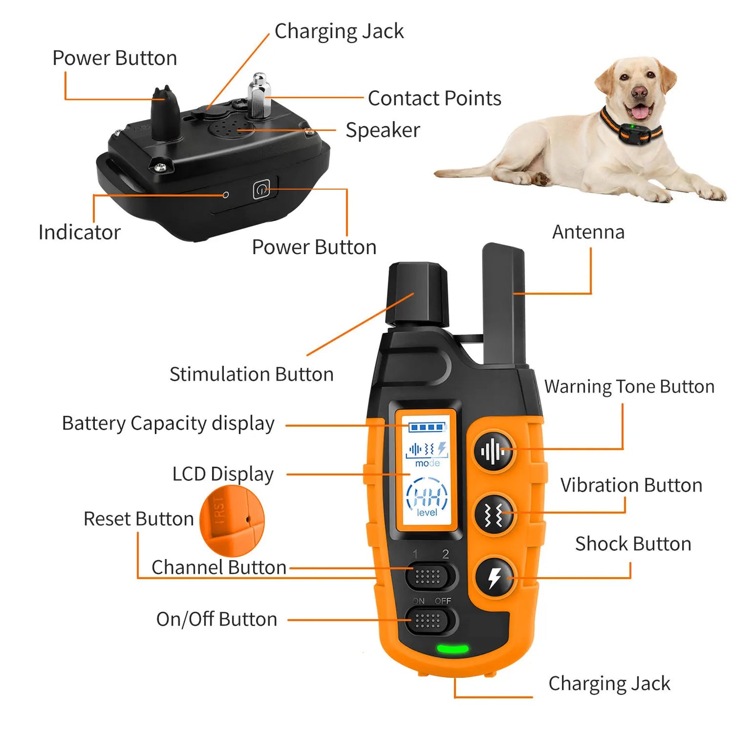 Ultimate Dog Training Collar