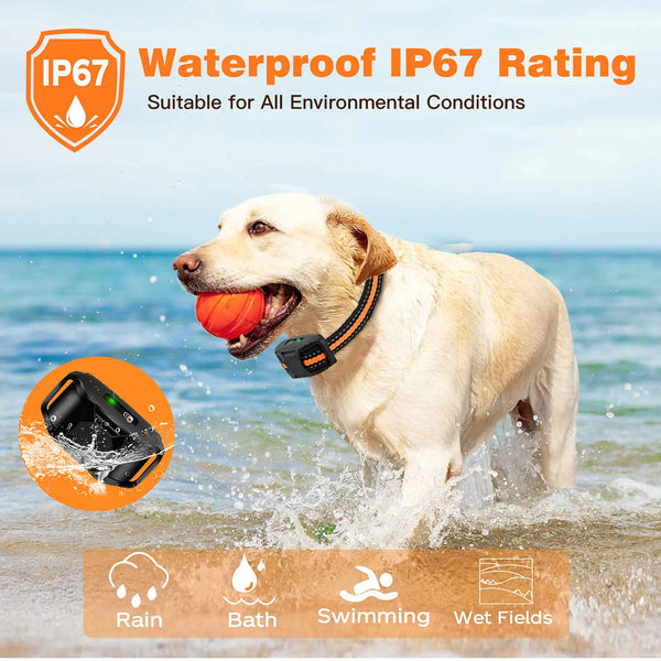Ultimate Dog Training Collar
