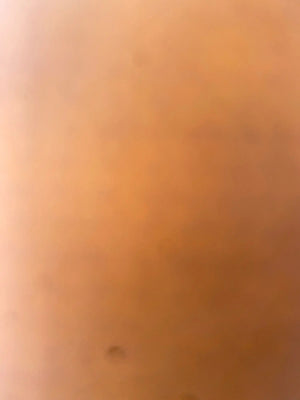 A533d31ba641d4a34859029ce9cef9c65a.jpg